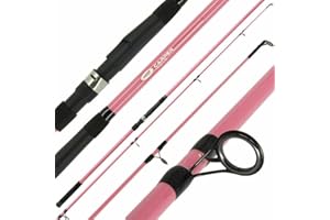 LIDSTERS FISHING SUPPLIES NGT CARP FISHING PINK CARPER ROD 2PC 12FT LADIES CARP ROD WOMENS FISHING
