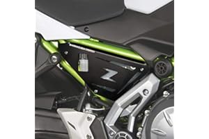 Barracuda Seitenabdeckung Kawasaki Z650 Ninja 650 Z650 ER650H