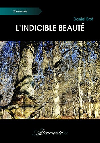 couverture de : L'indicible beaut&eacute;