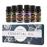 ★【Perfektes Geschenk-Set】Die Auswahl dieser 6 verschiedenen Duft-Geschmack-Öle mit empfindlicher Verpackung als Geschenk wird für Sie eine Priorität sein. Sie werden Ihre Familie und Freunde überraschen, indem Sie ihnen dieses perfekte Geschenk mit kombiniertem praktischem und schönem schicken.