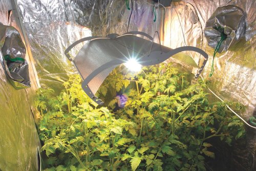 PowerPlant Mantis Reflektor ohne Kabel, für Gewächshäuser - 3