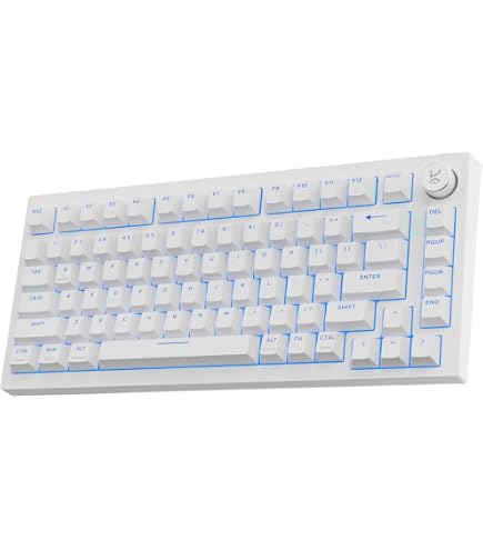 Amazon.in: Buy Odpaltoy×Ajazz AK820 MAX Mechanical Gaming Magnetic