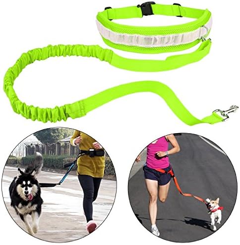 running leash (Green)