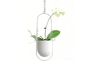 Beihaoer Hanging Decoration Pot Metal Boho Hanging Basket Ceiling Planter for Indoor Plants Succulents Air Plants Cactus (White)