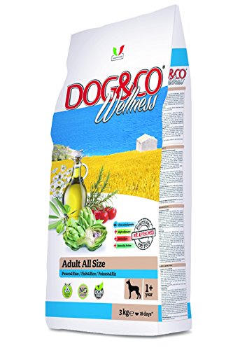 Adragna ADR3024/12 Alimento Cane Dog&Co Well Adult all Size - 12500 gr