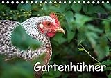 zwerg wyandotten züchter sachsen Gartenhühner (Tischkalender 2018 DIN A5 quer)