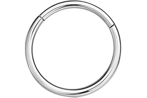 NAVZA Surgical Steel Nose Rings- Nose Hinged Hoops for Men and Women - Body Piercing Jewelry Earrings Lip Rings 6mm-7mm-8mm-9mm-10mm