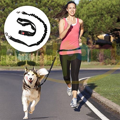 Hands Free Running Dog Leash / Dog Walking Belt - Reflective Safty Dog Lead - Adjustable Waist Belt - Great for Handsfree Running , Jogging or Walking - Price Xes (Black)