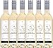 Produktbild 6er Paket - Fleur de d'Artagnan Blanc 2018 - Plaimont mit VINELLO.weinausgießer | trockener Weißwein | französischer Sommerwein aus Sud Ouest | 6 x 0,75 Liter