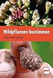 Image de Wildpflanzen bestimmen: Essbar oder giftig?
