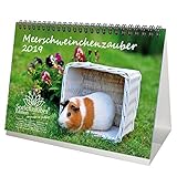 Meerschweinchenzauber · DIN A5 · Premium Tischkalender/Kalender 2019 · Meerschweinchen · Haustier · Nager · Kaninchen · Ratten · Edition Seelenzauber by