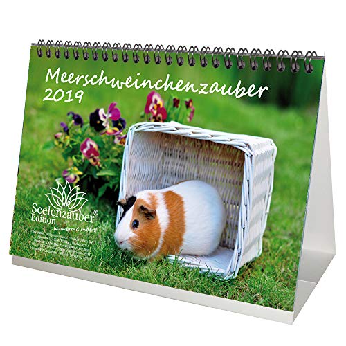 Meerschweinchenzauber · DIN A5 · Premium Tischkalender/Kalender 2019 · Meerschweinchen · Haustier · Nager · Kaninchen · Ratten · Edition Seelenzauber