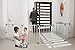 Dreambaby Royal Converta 3-in-1 Play-Pen Gate