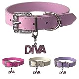 Impresionante collar de perro de piel sintética en 4 colores, rosa claro, rosa brillante, morado o blanco crema.