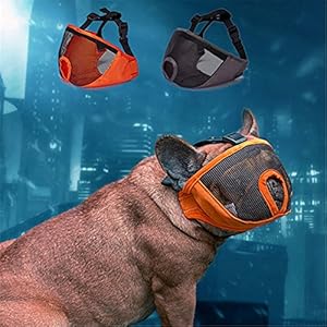 JYHY – Bozal Corto para Perro con Forma de Bulldog de Malla Transpirable Ajustable para mascarar, Cortar y Entrenar a Perros