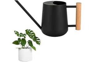 LPAMABA 1L Gießkanne Edelstahl für Pflanzen im Innen- und Außenbereich, Bonsai Mit Langem Ausguss und Holzgriff