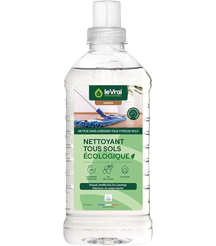 Nettoyant Concentré Sols Stanhome Frozen Pine 1000 Ml - Neuf - Multisurfaces