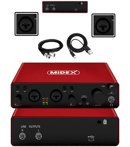 Focusrite Gitaristler, şarkıcılar veya yapımcılar için Scarlett