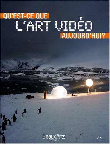 Qu'est-ce que l'art vidéo aujourd'hui ?