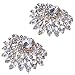 Produktbild IPOTCH 2er Pack Damen Strass Schuhclips Schuhanhänger Hochzeit Schuhschmuck Accessoires - B