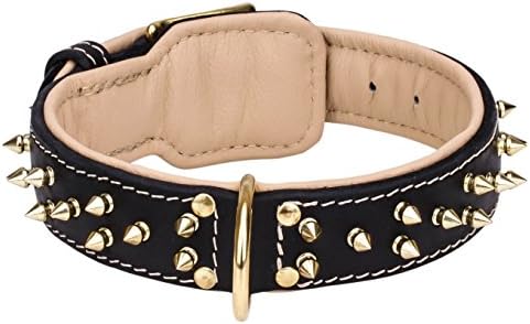 26 inch Black Nappa Padded Leather Collar with Two Rows of Awesome Brass Spikes - 1 1/2 inch (40 mm) wide