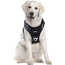 Emperor Pets Aura BB16 Einziehbare Hundeleine – Bis 50 Kg, 7,9 M, Rutschfester Griff