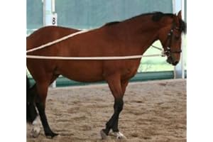 Pferdeseile_DE Langzügel aus Baumwolle Natur 2 x 4 Meter