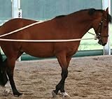riendas largas caballos  Largo riendas de algodón natural 2 x 4 metros