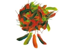 OZ INTERNATIONAL Lot de 90 plumes taille 12 cm