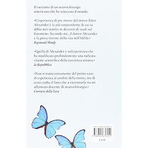 Milioni di farfalle