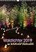 Produktbild Waldlichter im Wildwald Vosswinkel 2019 (Wandkalender 2019 DIN A3 hoch): Die "Waldlichter" sind eine Veranstaltung des Wildwalds Vosswinkel ... (Monatskalender, 14 Seiten ) (CALVENDO Kunst)