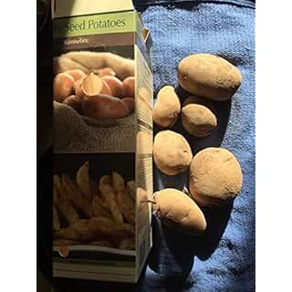 Suchergebnis auf Amazon.de für: Kartoffel - Deko Utensilien