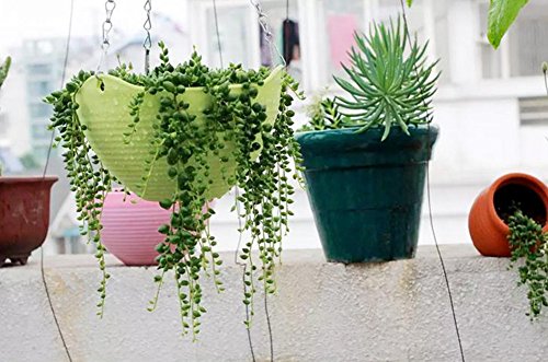 Hosaire Blumentopf Balkon Hängetöpfe Blumentopf Grünpflanze Kunststoff Hängende blumentöpfe Flower Pot Mit Kette,Weiss - 5