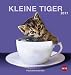 Katzen Postkartenkalender - Kalender 2017 by