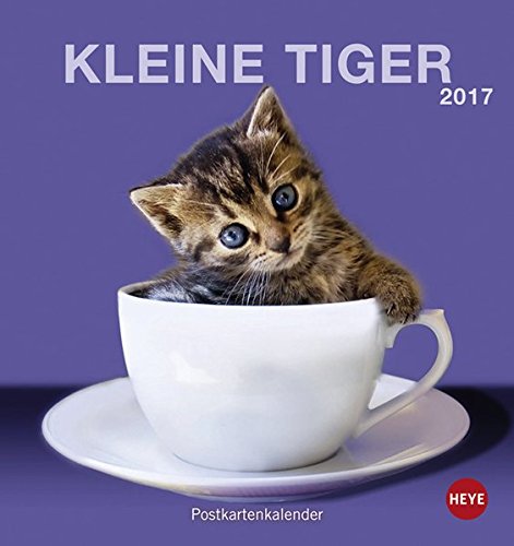 Katzen Postkartenkalender - Kalender 2017