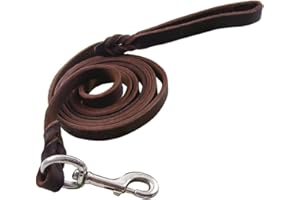 Vivi Bear Guinzagli per cani in vera pelle intrecciata fatta a mano, per addestramento di cani di grossa taglia 1,7 cm di larghezza, 8,5/6,9/5,2/1,2 m, marrone scuro (1,2 m di lunghezza)