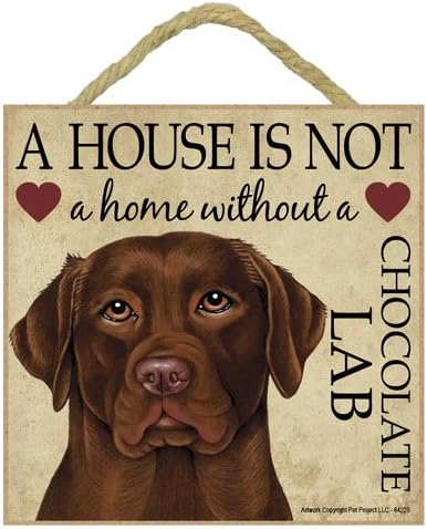 Labrador Chocolate Gift - Plaque 'House is not a Home' - Hang it or Stand it on the easel..