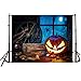 Produktbild VEMOW Halloween Party Dekoration Kulissen Kürbis Vinyl 5x3FT Laterne Hintergrund Fotografie Studio Wandaufkleber 150 * 90cm(Mehrfarbig, 150 * 90cm)