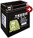 Produktbild GEL Batterie YB10L-A2 für Suzuki GS 450 Baujahr 1980-1981 von TECNO