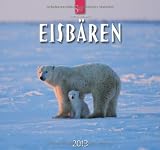 Eisbären 2013 - Original Stürtz-Kalender by
