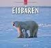 Eisbären 2013 - Original Stürtz-Kalender by