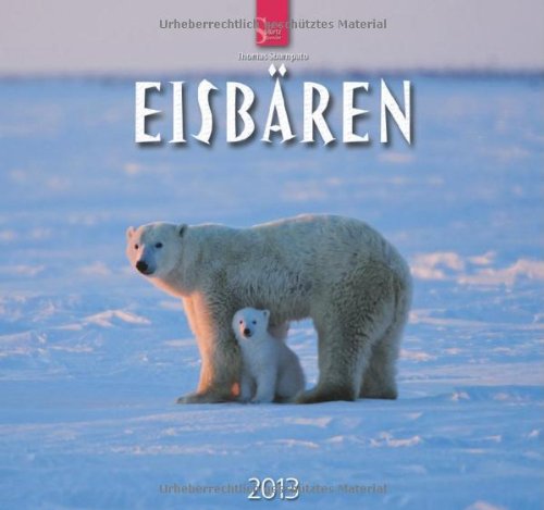 Eisbären 2013 - Original Stürtz-Kalender
