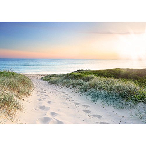 Fototapete Strand 308 x 220 cm – Vliestapete – Wandtapete – Vlies Phototapete – Wand – Wandbilder XXL – !!! 100% MADE IN GERMANY !!! Runa Tapete 9008010a - 6