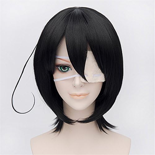 LanTing Cosplay Wig Another Misaki Mei Black Wigs Corta Styled Frauen Cosplay Party Fashion Anime Human Costume Full wigs Synthetic Haar Heat Resistant Fiber