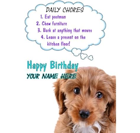 cockapoo birthday