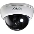 CNB DFP-50S Ultra High Resolution 960H Analog Dome Security Camera CCTV | 700 TVL, CCD Sensor, 3D-DNR, Motion Detection, Pelco-C OSD Control, 3-Axis Movement | Ideal for Indoor, Home, Office, Retail