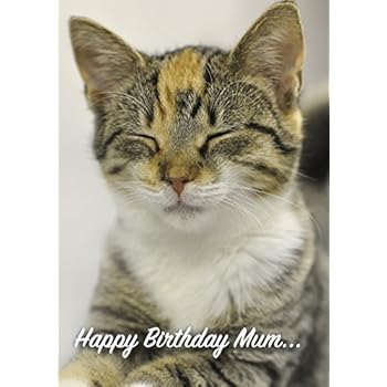 Happy Birthday Mum Cute Cat Card 125mm x 178mm Including Envelope