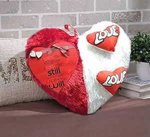 DreamVio Love Heart Shape Valentine Day Gift Fur Cushion,Plush Pillow for Gifting on Birthdays,Anniversaries Color - Red, White (Size- 17x17 inch) Shape 14