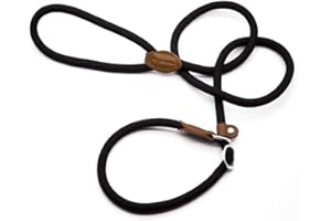 Supet Laisse Dressage Chien Collier Laisse Chien Laisse Lasso Laisse en Cuire Laisse Educative Sangle pour Chien 2 en 1 Collier et Laisse