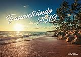 Traumstrände-Kalender 2019, Strände Kalender, Bildkalender, Strandkalender 2019, Landschaftskalender 2019 by